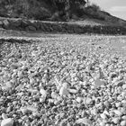 sur la plage de GUÉTARY !