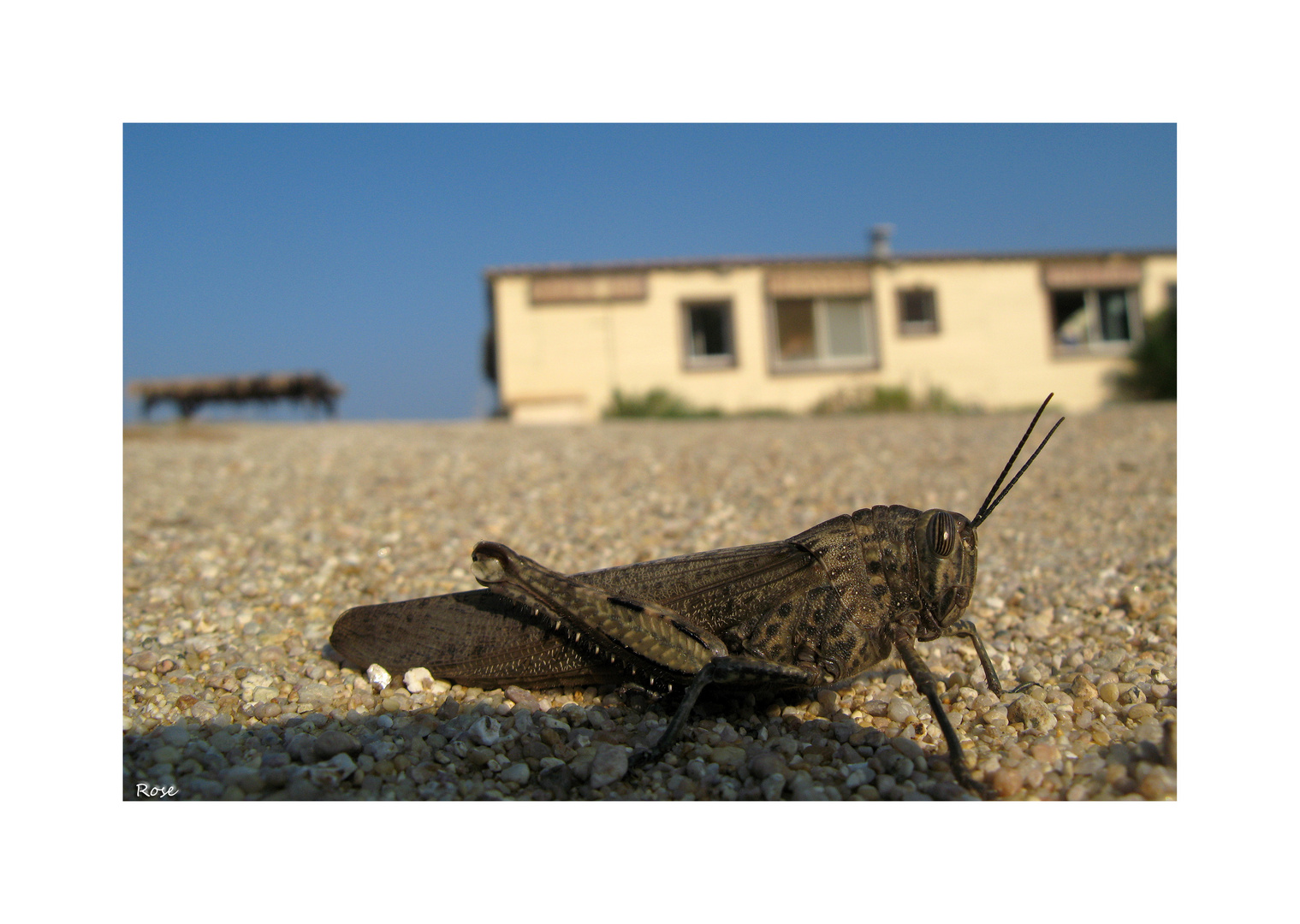 Sur la plage...