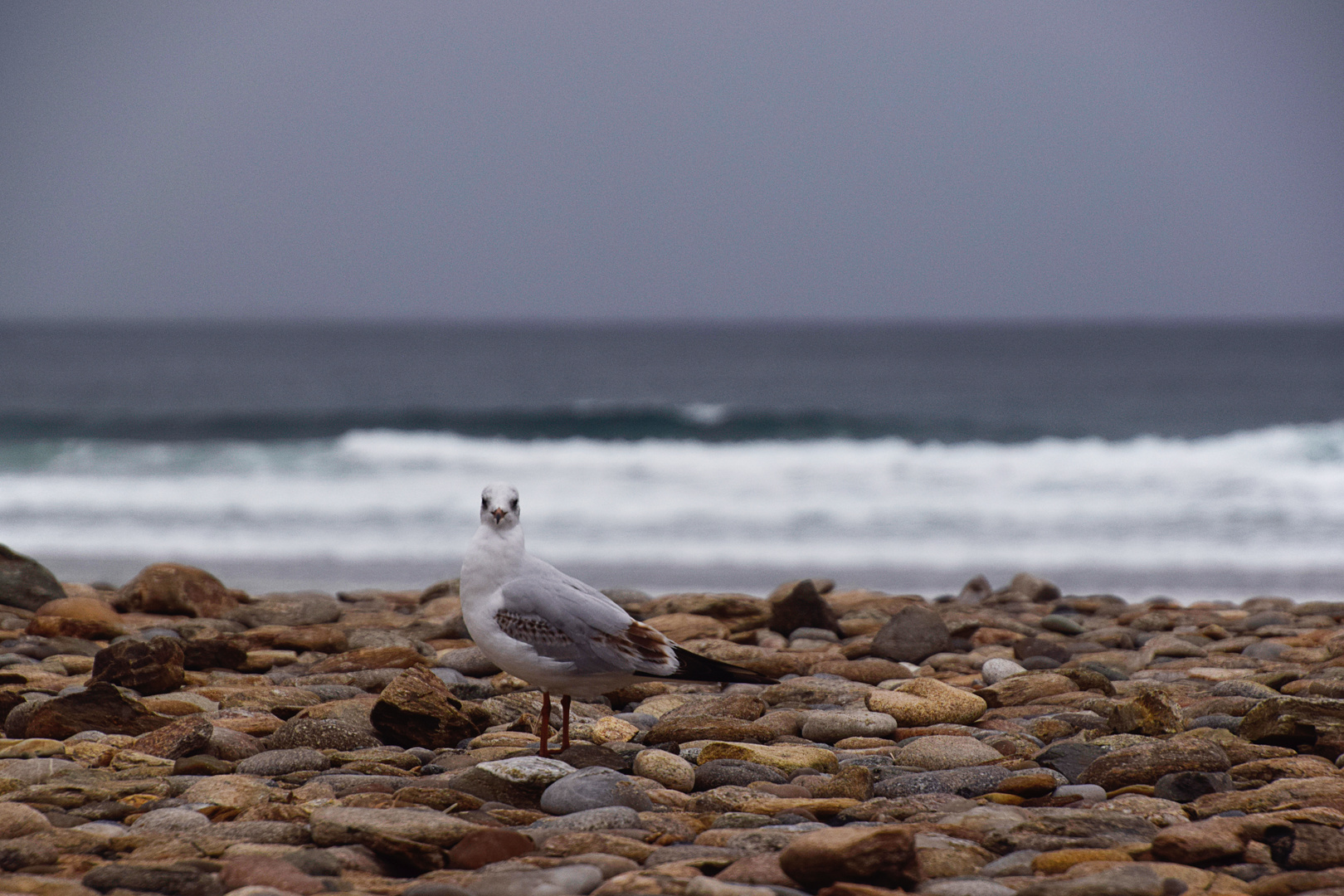 sur la plage II