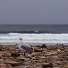 sur la plage II