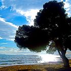 sur la plage, j'y suis bien à son ombre