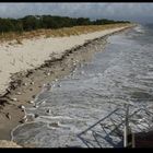 "Sur la plage la foule des estivants de l'automne "