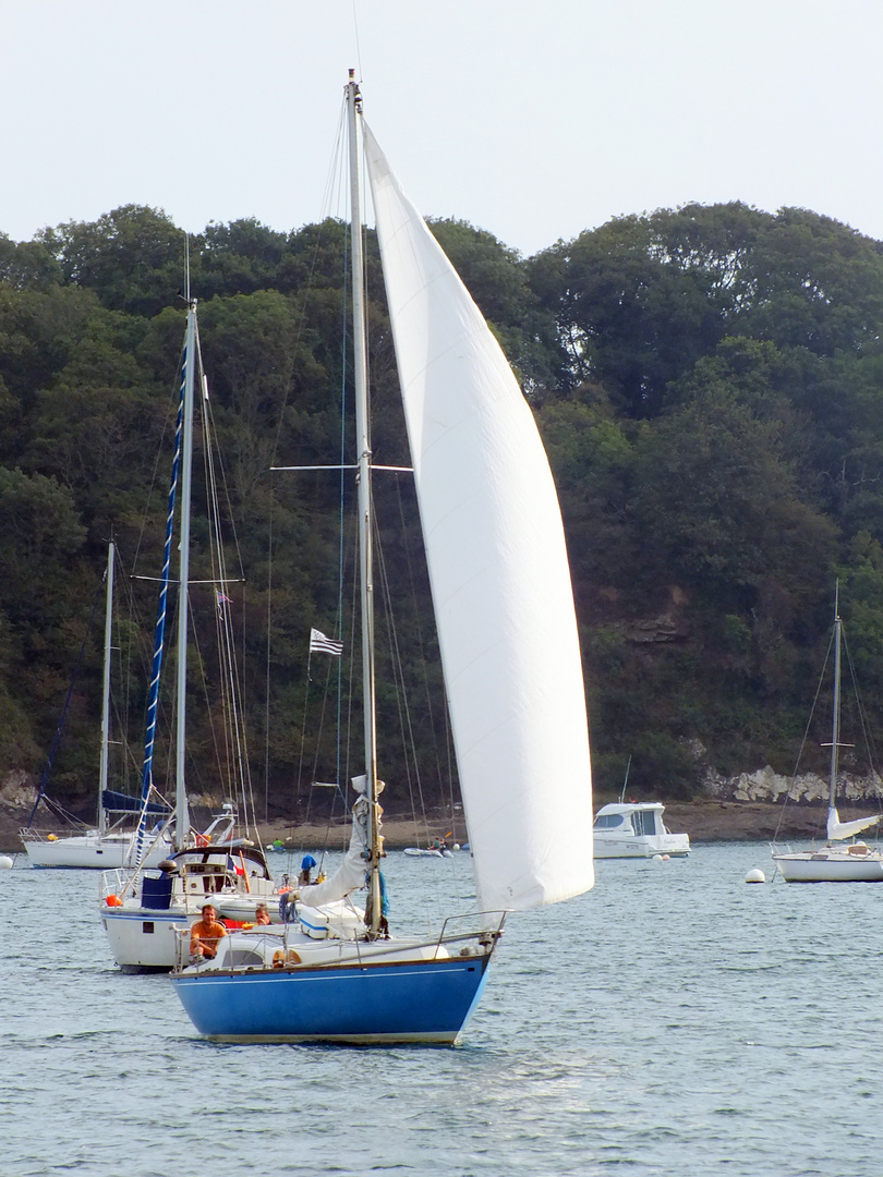 Sur la Rance, Bretagne 