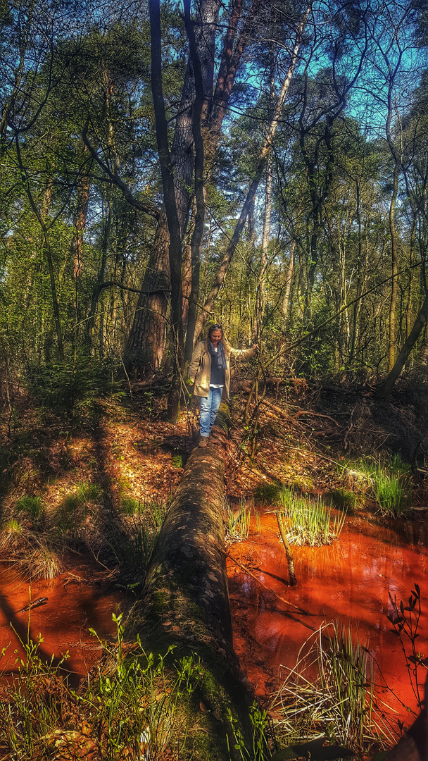 sur la rivière rouge Foto & Bild scènes de vie, animations