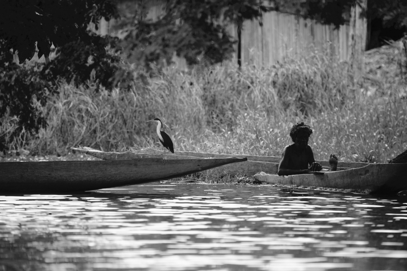 Sur la rivière Sepik