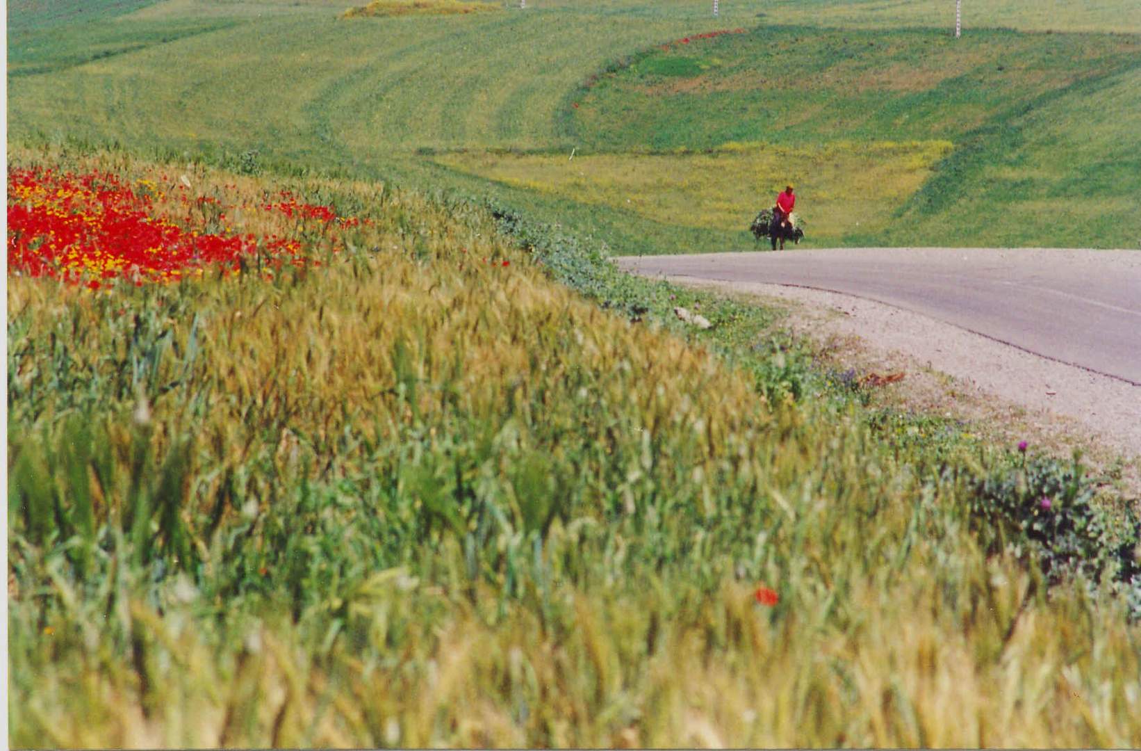 sur la route