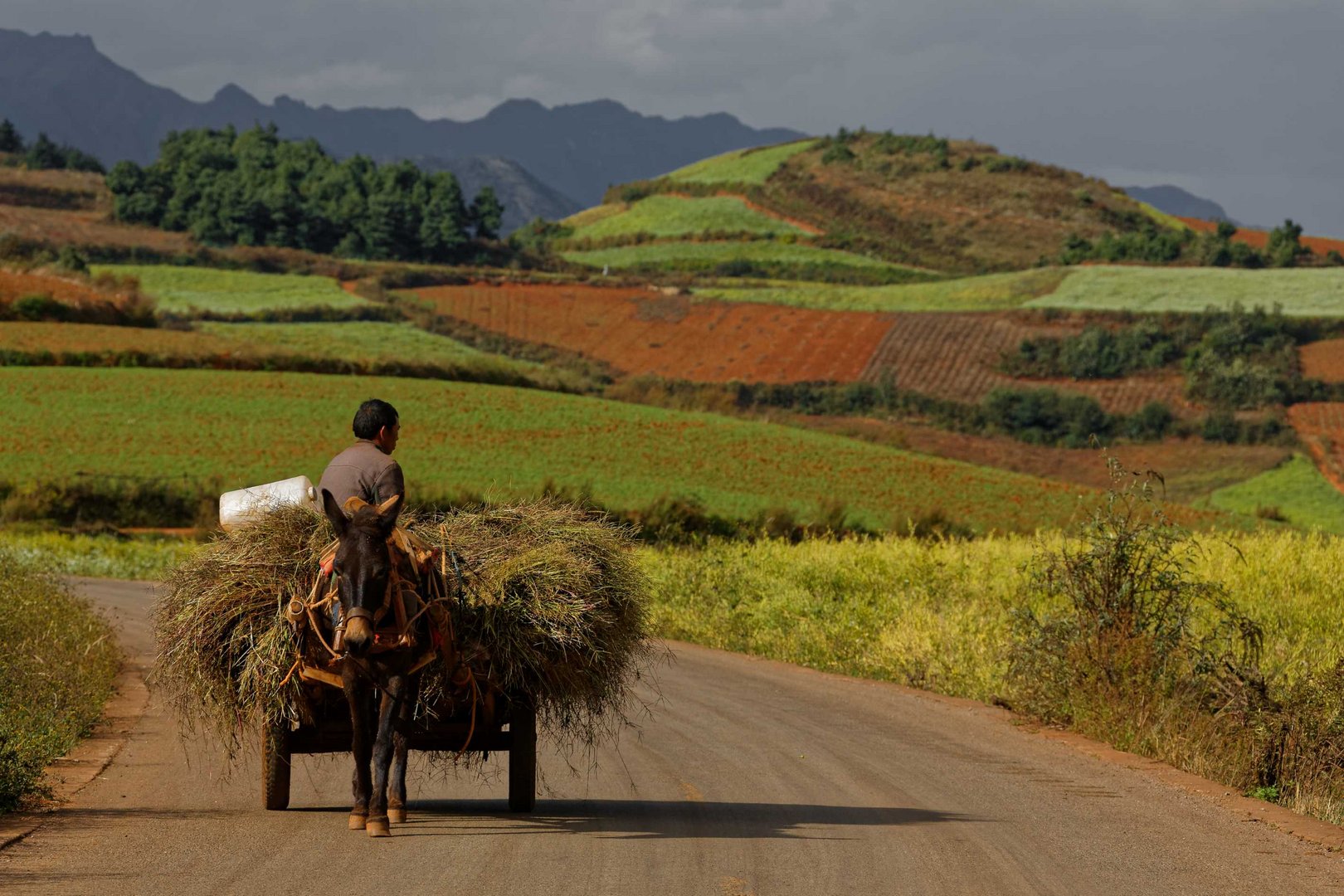 Sur la route à Dongchuan, Yunnan, Chine.