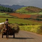 Sur la route à Dongchuan, Yunnan, Chine.