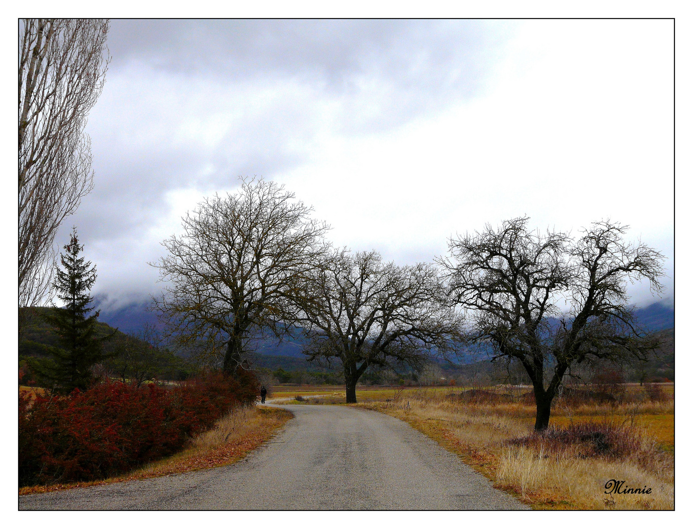 "sur la route......."