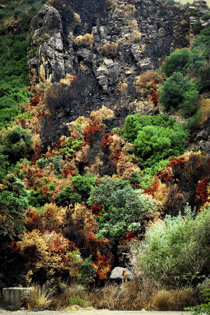 Sur la route de Bedjaia