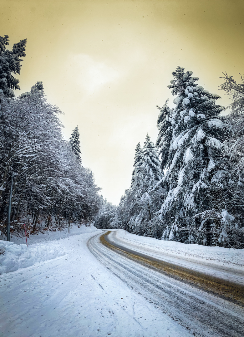 Sur la route de Brameloup (12)