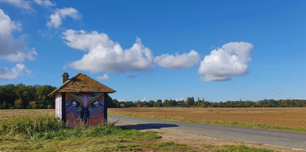 Sur la route de Gambaiseuil.