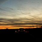 Sur la route de Marseillan Plage