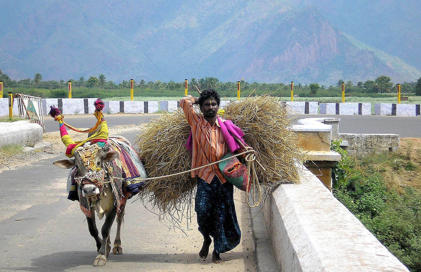 Sur la route de Pondichery