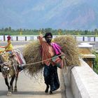 Sur la route de Pondichery