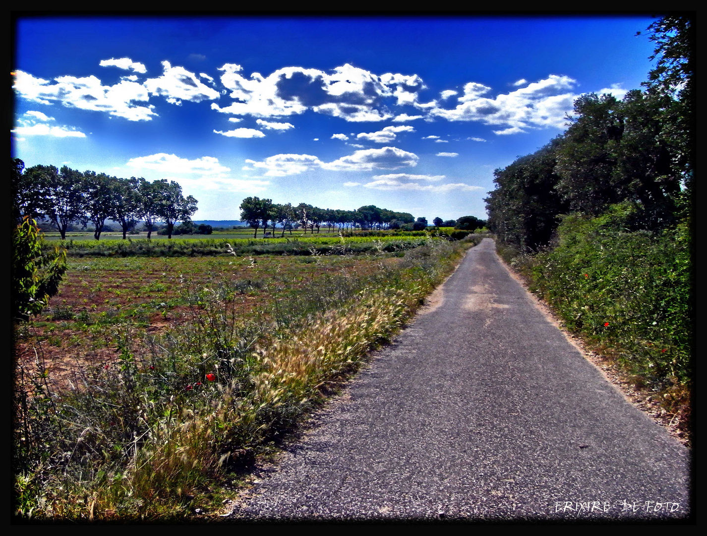 sur la route de Uzès