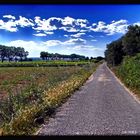 sur la route de Uzès