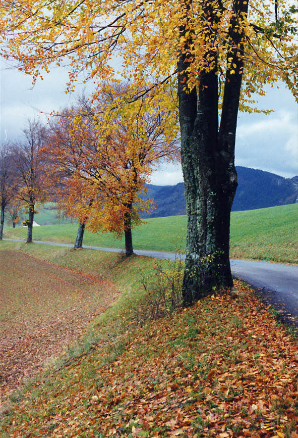 sur la route des couleus du temps jura 39