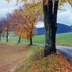 sur la route des couleus du temps jura 39