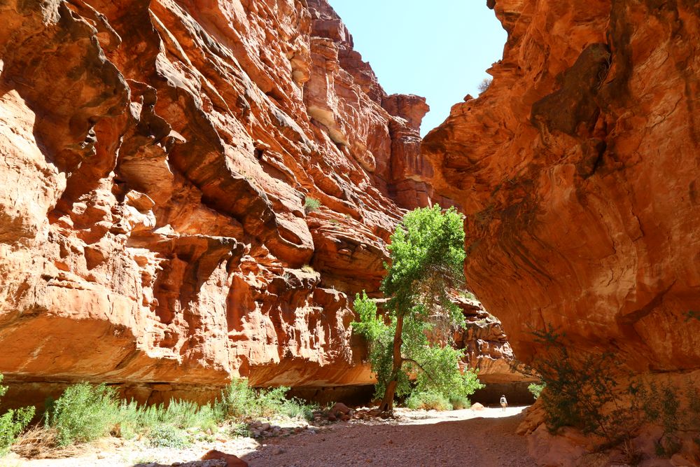 sur la route des Havasupai