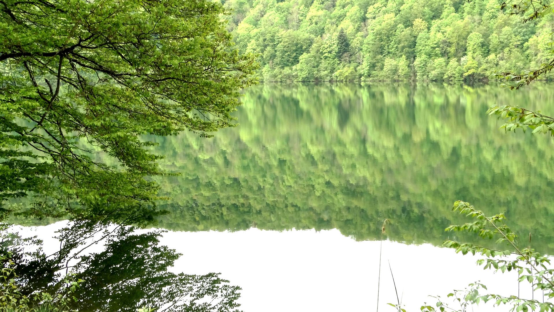 Sur la Route des Lacs - Auf der Seen  Straße (Jura France )