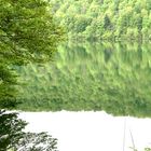 Sur la Route des Lacs - Auf der Seen  Straße (Jura France )