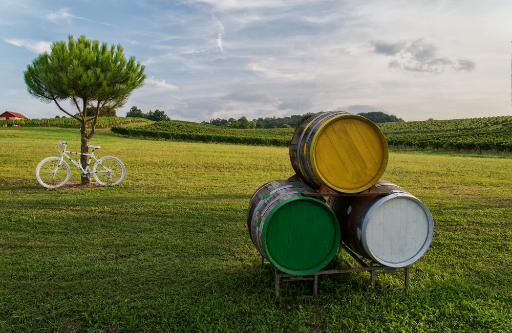 Sur la route des vins