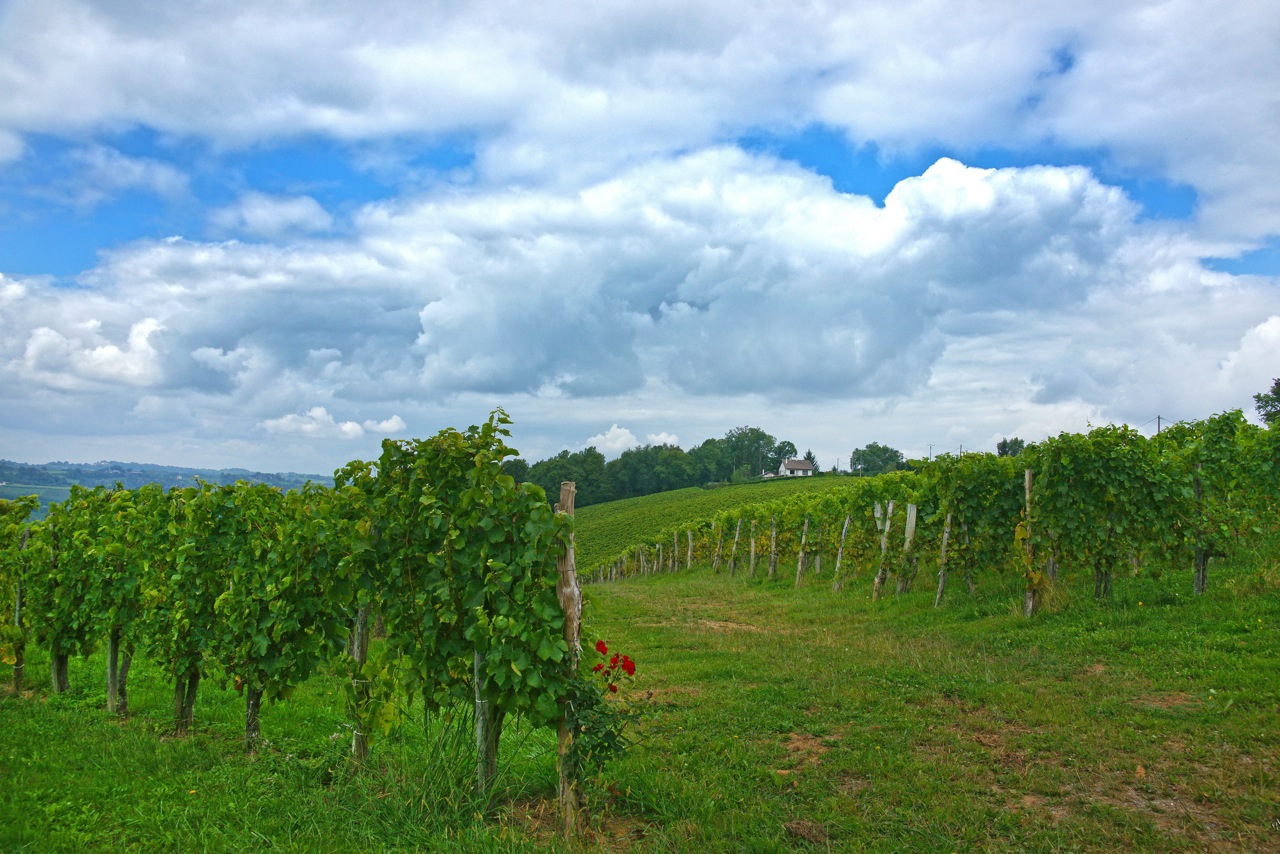 Sur la route des vins ...