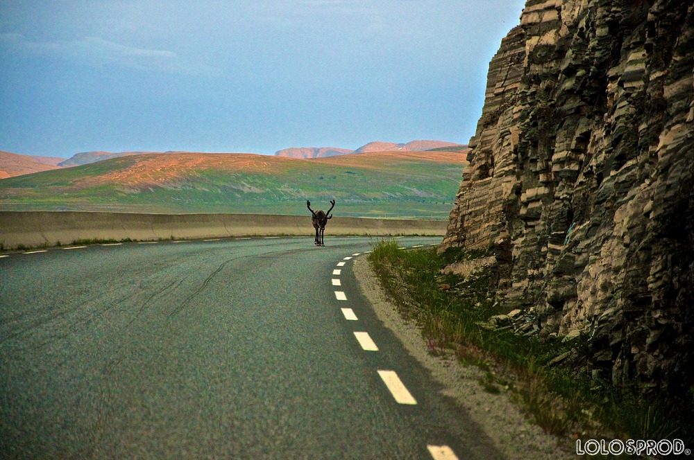 sur la route du cap...