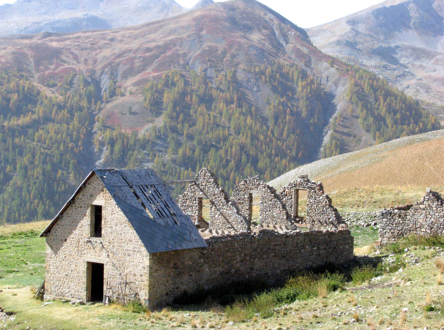 sur la route du col de la Bonnette