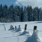 Sur la route du haut Doubs