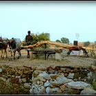 Sur la route vers UDAIPUR 