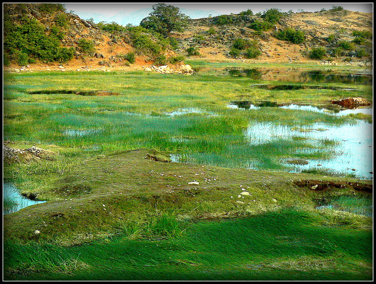 Sur la route vers UDAIPUR 