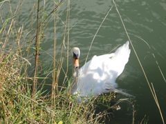 ...Sur la Seine...