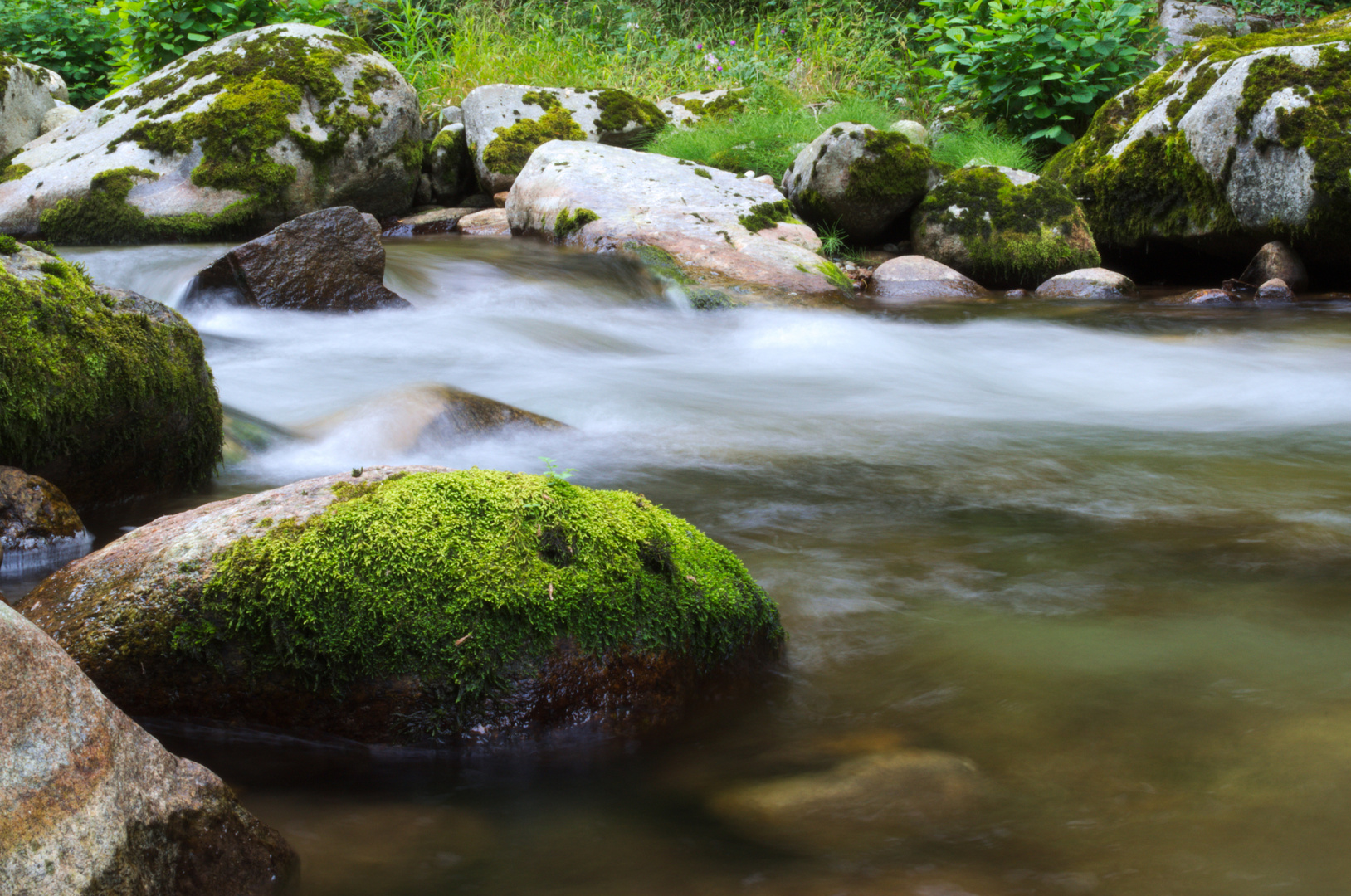 Sur l'Ariège