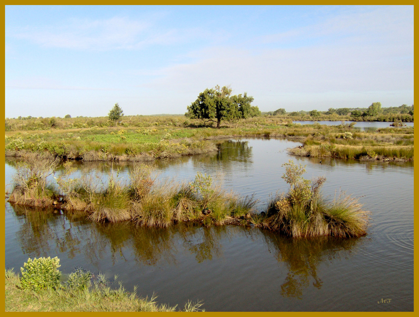 Sur le Bassin d'Arcachon