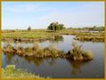 Sur le Bassin d'Arcachon de Mahina 