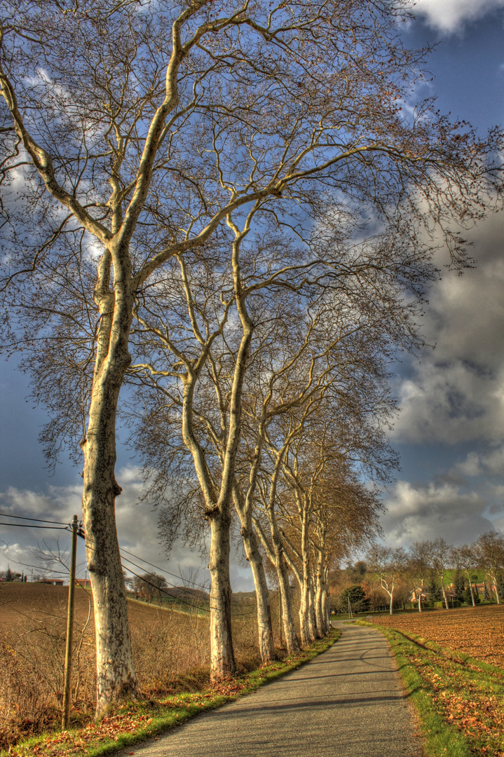 sur le bord de la route