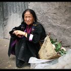 Sur le bord de la route, Ladakh