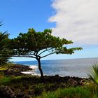 Sur le bord de l'Océan Indien