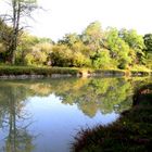 sur le bord du canal en SOLOGNE