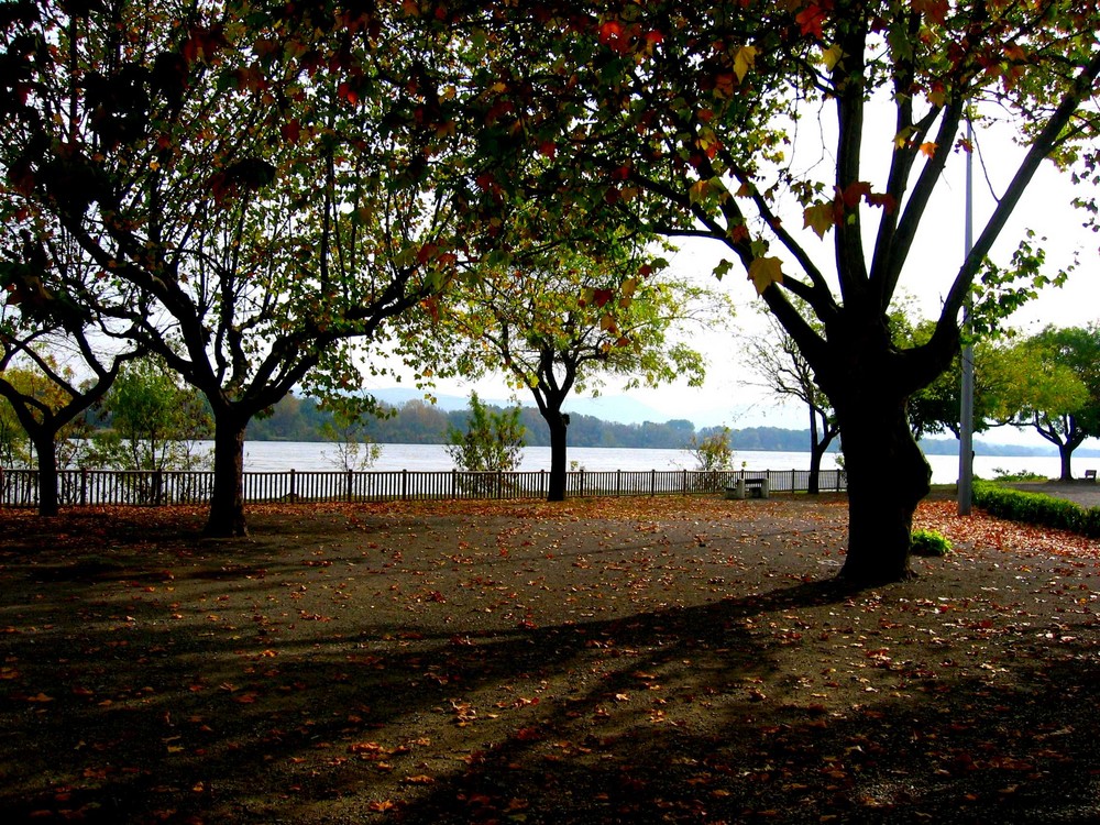 Sur le bord du fleuve d'automne