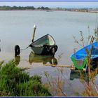 Sur le canal de Sète