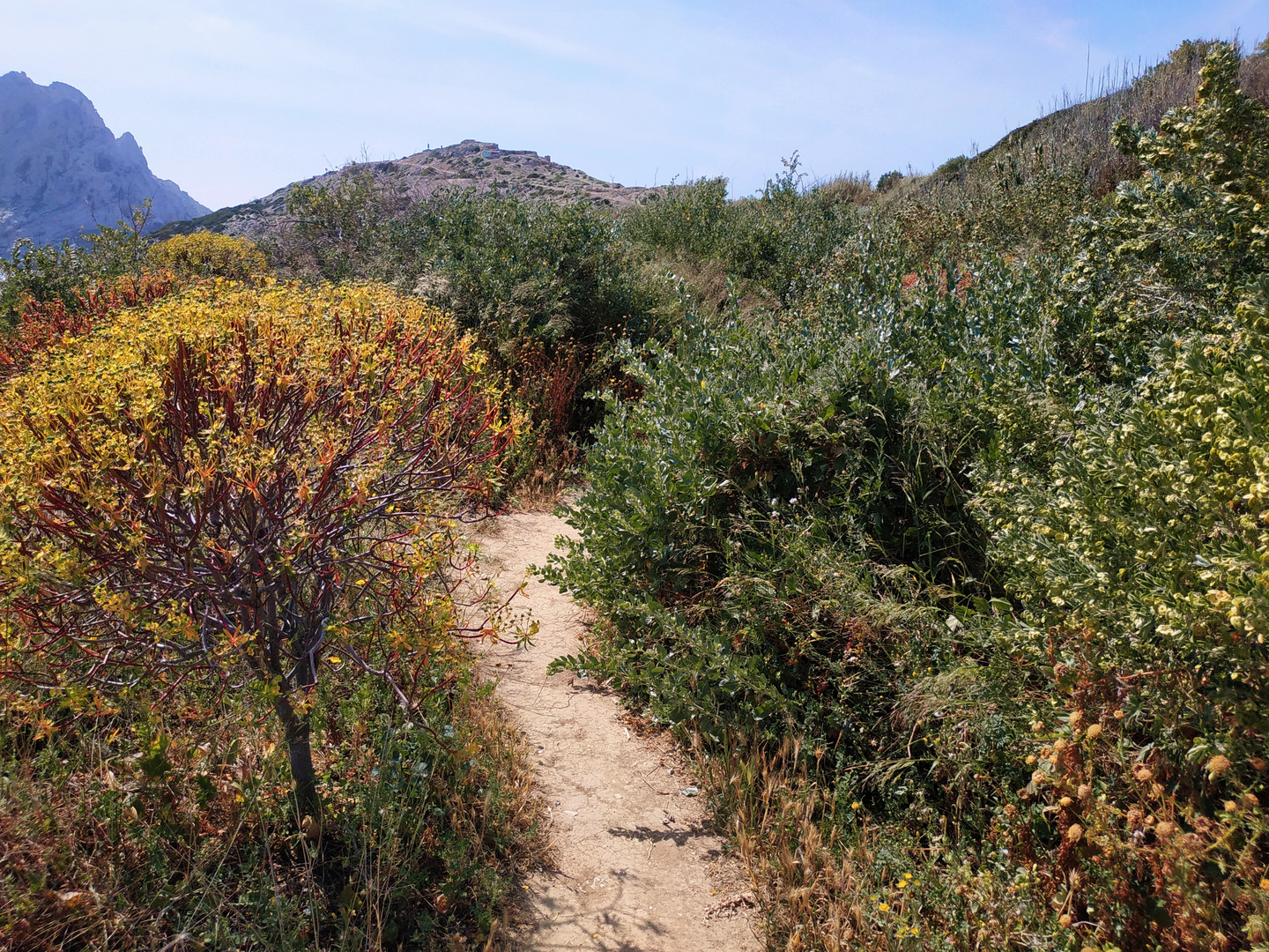 Sur le chemin
