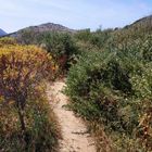 Sur le chemin