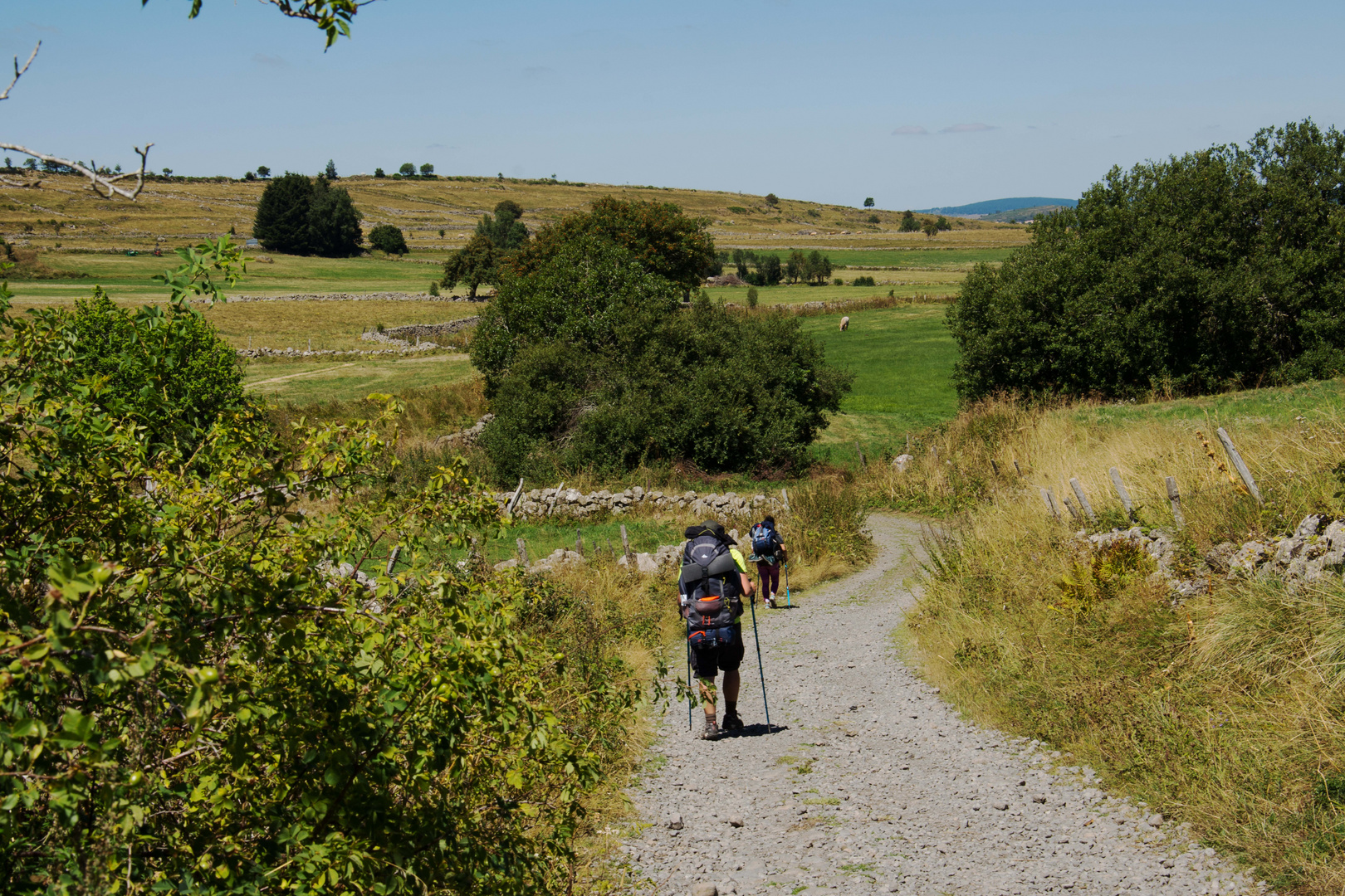 Sur le chemin de Compostelle vers Nasbinals - 2