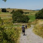 Sur le chemin de Compostelle vers Nasbinals - 2