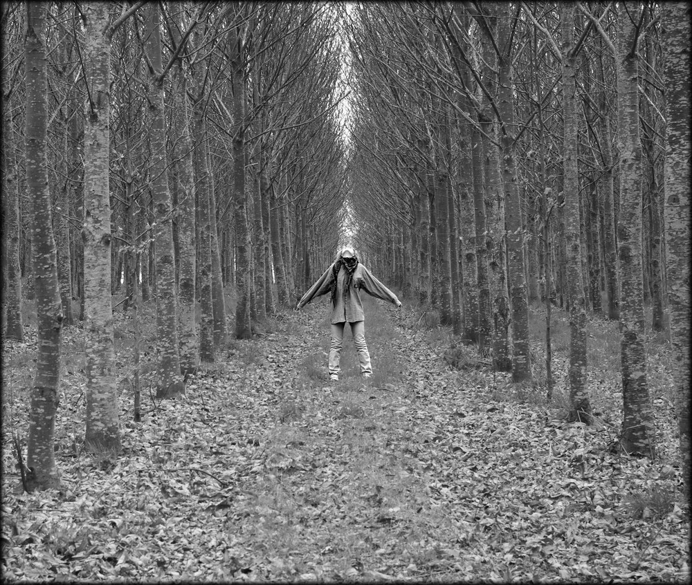 sur le chemin de la liberté... de fleur-eva 