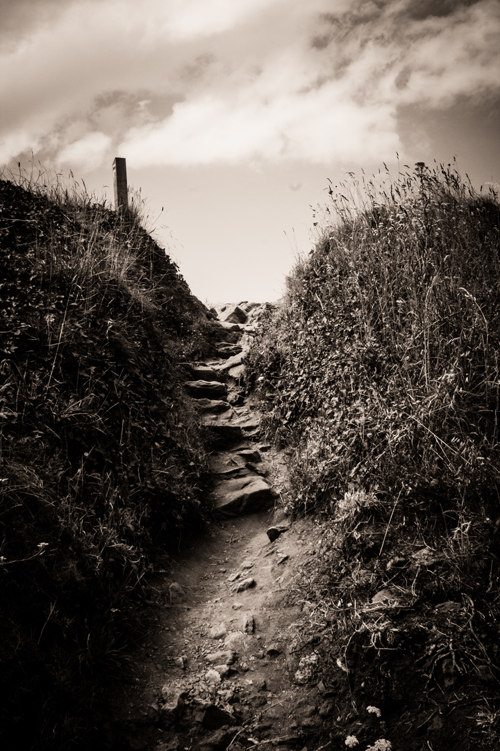 sur le chemin de la plage