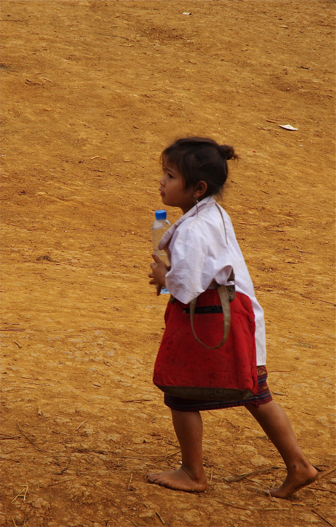 Sur le chemin de l'école